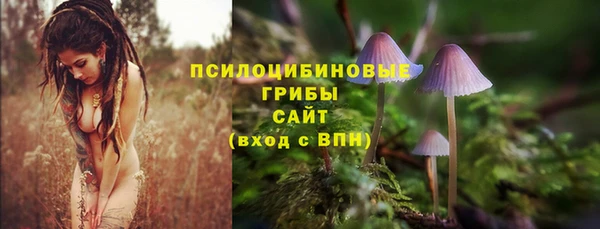 mdma Вяземский